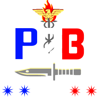 P2B_PhilxmCool's emblem