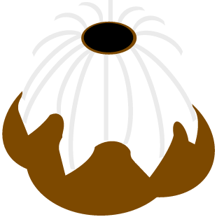 StoleUrSweetroll's emblem