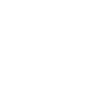 GomerSimpson2004's emblem