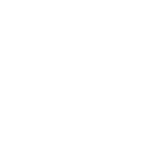 Mirrorisim's emblem