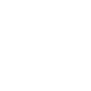 WTecPro's emblem
