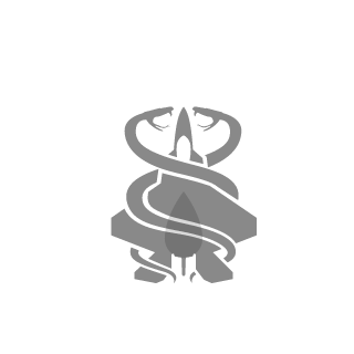 Kenway_Havana's emblem