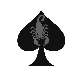 Zimnyukov's emblem