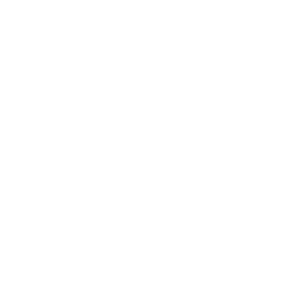 bankheadnet's emblem