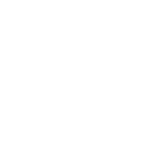 BlackFire_HS's emblem
