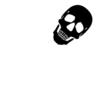 TheNZKiller's emblem