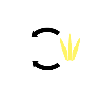 rcamer6's emblem