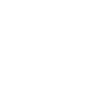 NvkLike's emblem