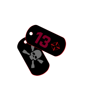 RobertPP's emblem
