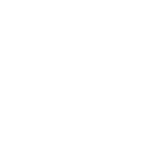 roborage12's emblem