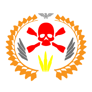 USIS Team's emblem