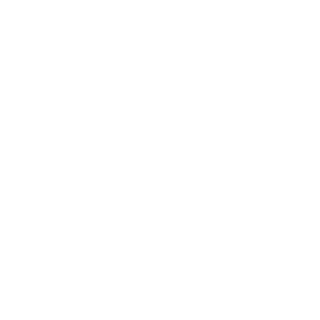 icebreizh's emblem