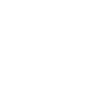 psx2k26's emblem