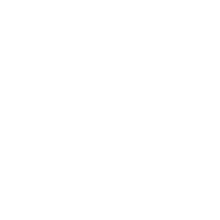 KSKNUECS's emblem