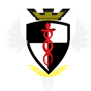 x_Karlozz_x's emblem