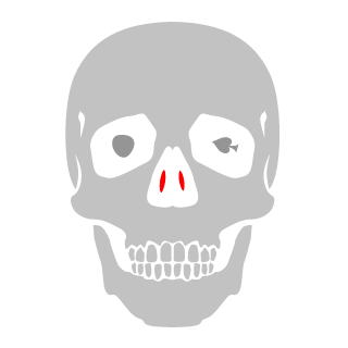 Tinginysss's emblem