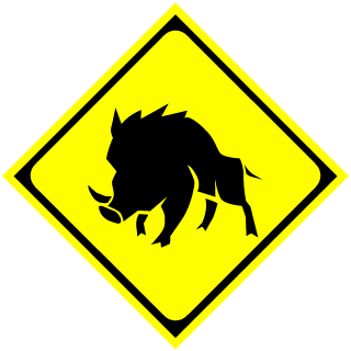 7ccc42e1393cc508's emblem