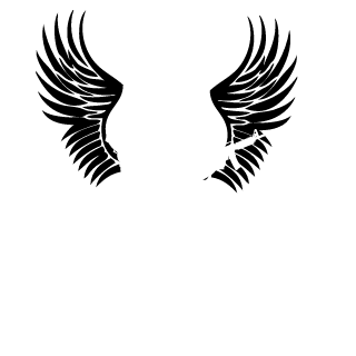 yMAIA55's emblem