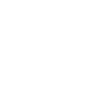 lediesman218's emblem