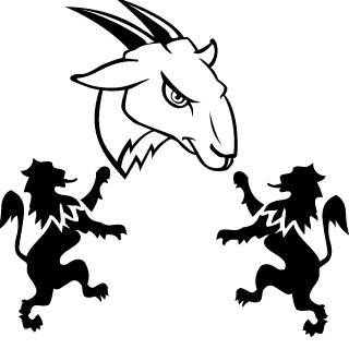 sazanamix's emblem