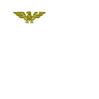 nclsdp3's emblem