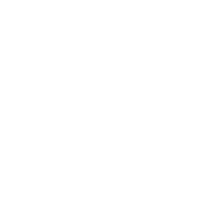VespEU's emblem
