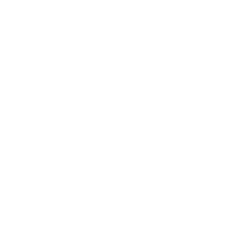 NotSoComplex's emblem