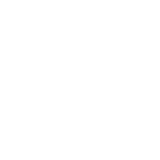 The_Decimator05's emblem