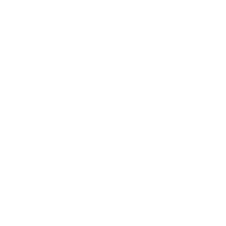 Nilr3m34's emblem