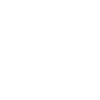 timoris-z16lwgcs's emblem