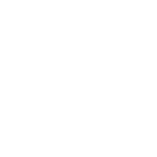 ArbeGT1994's emblem