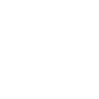 Stonetrolley's emblem