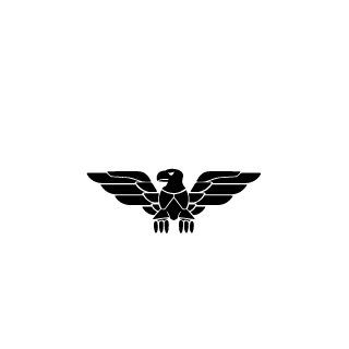Sturmpionier1944's emblem