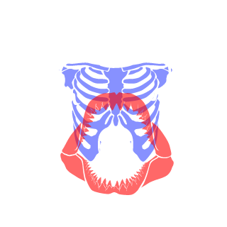 PRAPOR_UEBATOR's emblem