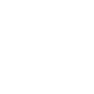 LordiNdio2's emblem