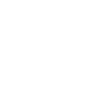 seele402's emblem