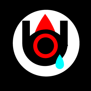 NecroMancer7511's emblem