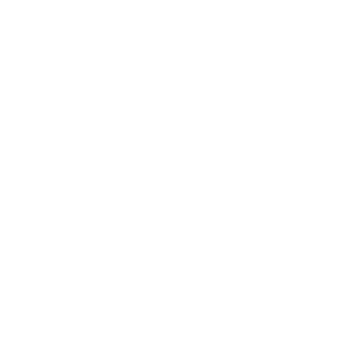 50R3L's emblem