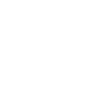 diyizhen's emblem