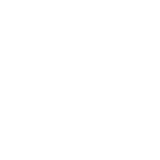 Palmie2's emblem