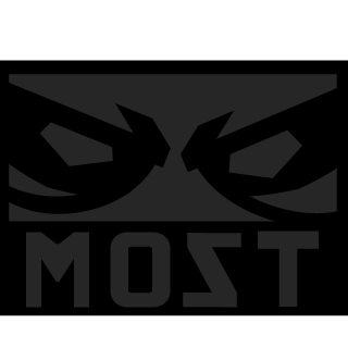 ORGANIZEDSHOOTINGTEAM!'s emblem