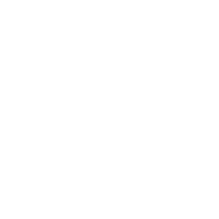 Fantasma15BR's emblem