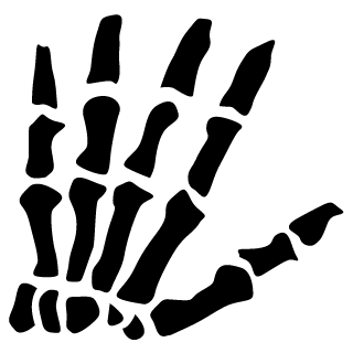 fleuckiger's emblem