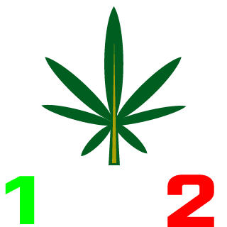 polase_1919's emblem