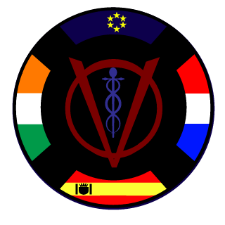 RAIDEN271's emblem