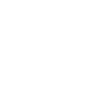 SEIKO_GER's emblem