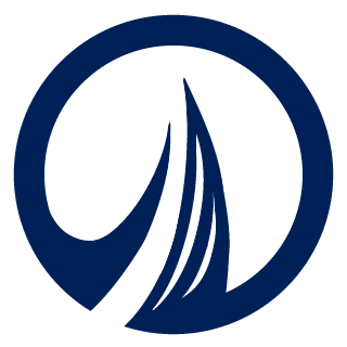 BATTLEGROUP N VIKINGS's emblem