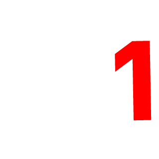 bir0006's emblem