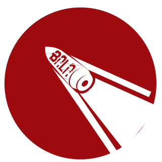 PillowyDisc9010's emblem