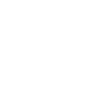 Prohor20's emblem